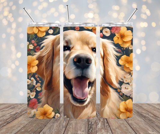 Golden Retriever Dog