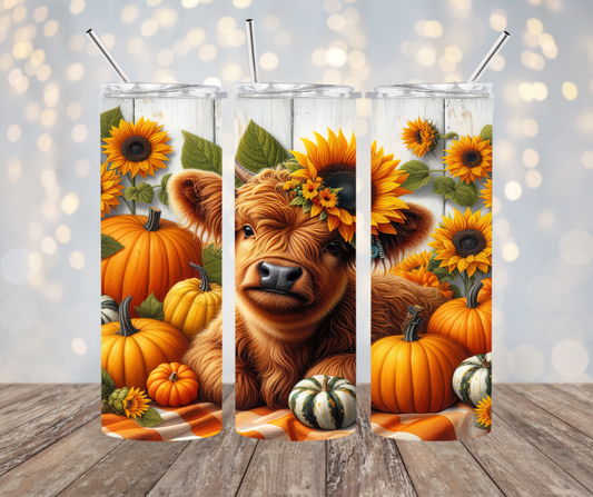 Autumn Baby Cow with Pumpkins