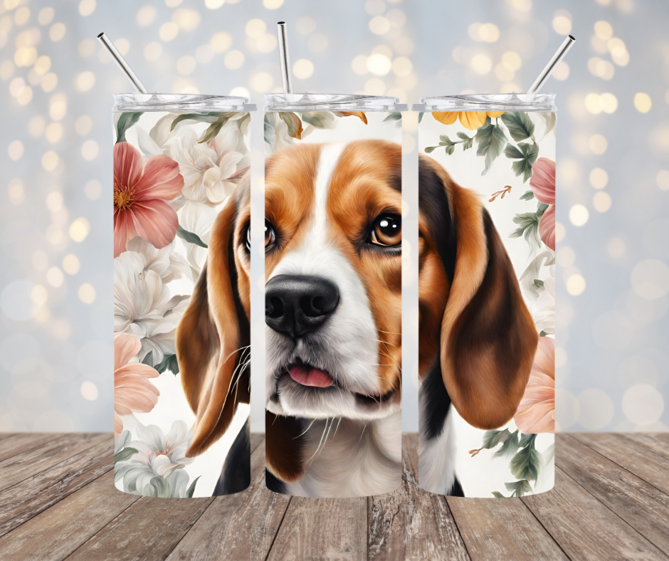 Beagle Dog