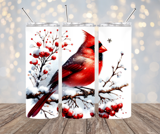 Winter Cardinal