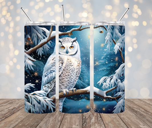 Snow Owl