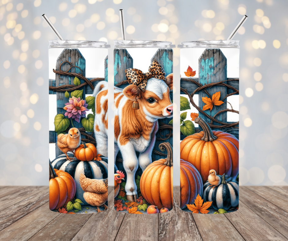 Baby Cow with Pumpkins