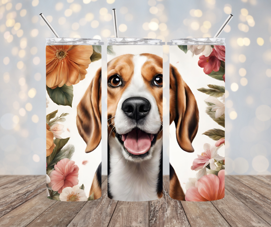 Beagle Dog