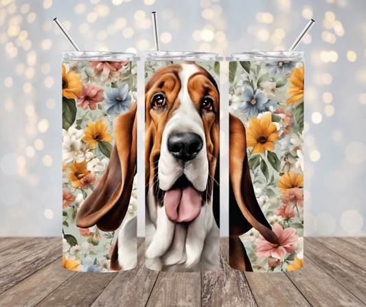 Basset Hound Dog