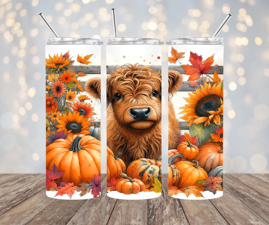 Highland Cow with Pumpkins