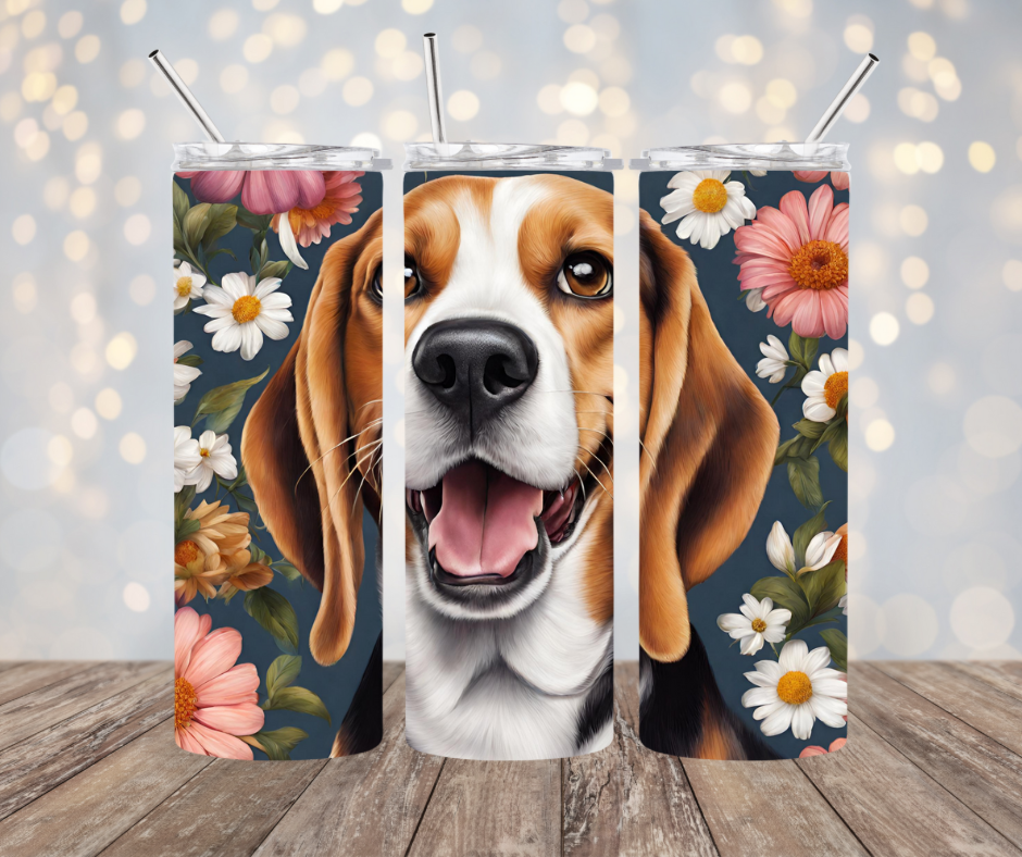 Beagle Dog