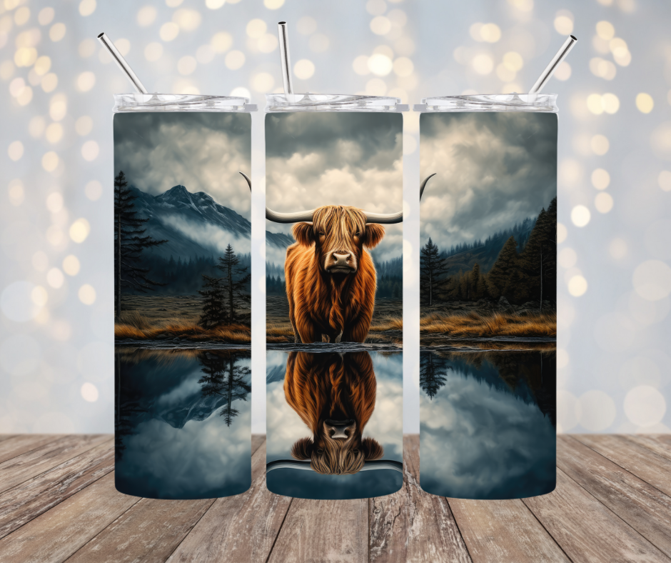 Stacee the Highland Cow