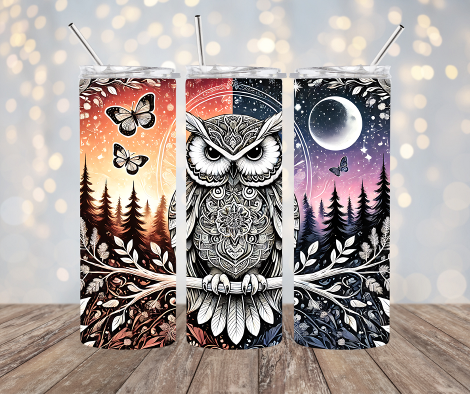 Night and Day Owl