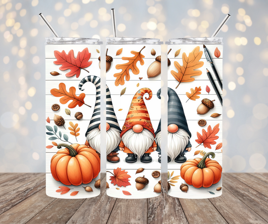 Autumn Gnomes